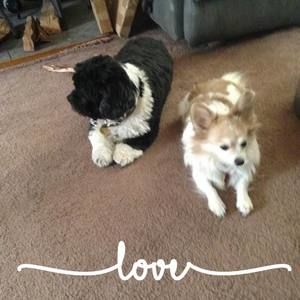 Meet your Posher, Cheryl